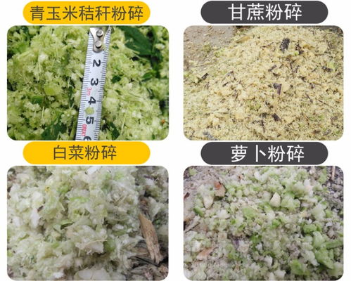小型牧草切草機 多功能家用鍘草機與玉米秸稈揉絲機報價指南