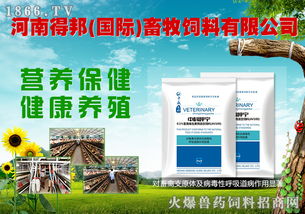 八重豪禮，巔峰鉅獻 河南得邦國際與火爆網攜手，共譜畜牧飼料行業新篇章